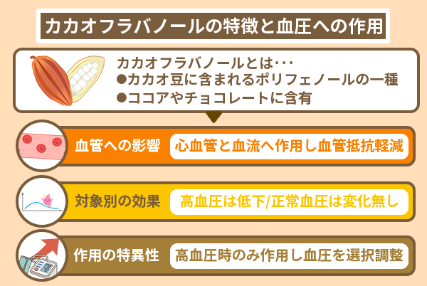 カカオフラバノールの特徴と血圧への作用