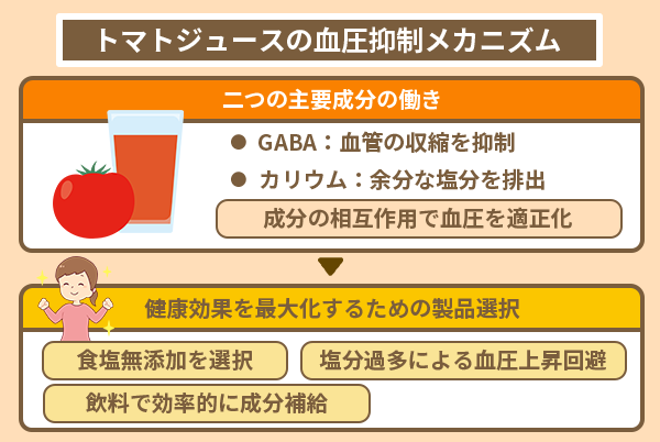 トマトジュースの血圧抑制メカニズム