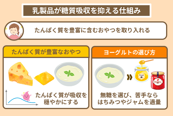 乳製品が糖質吸収を抑える仕組み