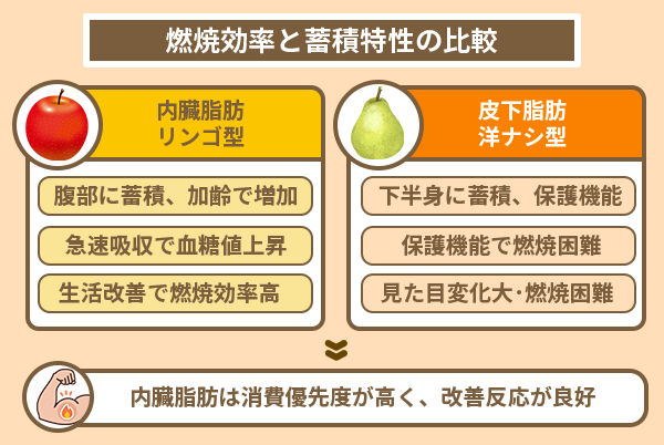 燃焼効率と蓄積特性の比較