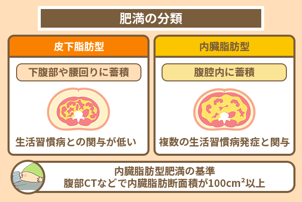 肥満の分類