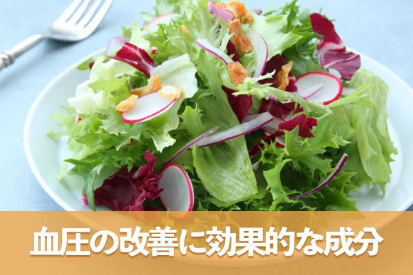血圧を管理する際は減塩と併せて血圧の改善に効果的な成分を摂取する