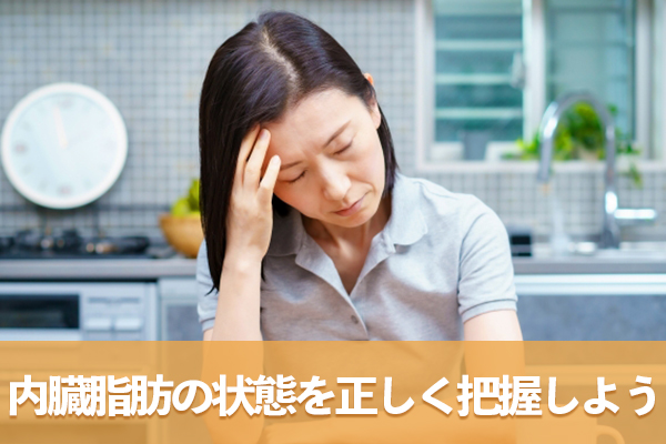 肥満による健康障害の発生を防ぐため内臓脂肪の状態を正しく把握する