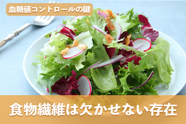 血糖値コントロールの鍵を握る食物繊維の力