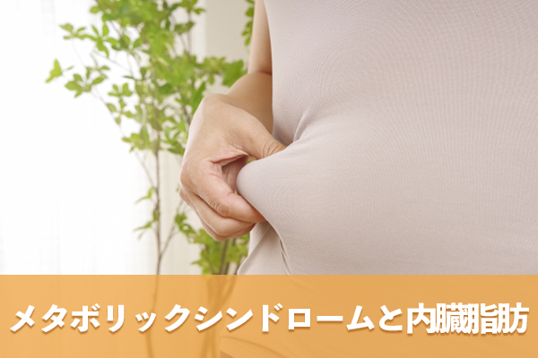 メタボリックシンドロームのメカニズムと内臓脂肪の危険性