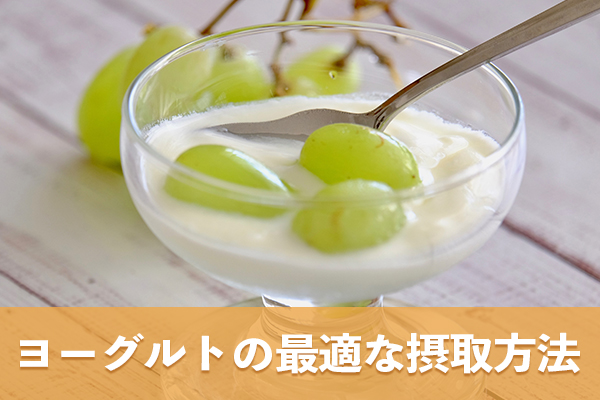 今日から始めるヨーグルトを使った腸活の摂取方法