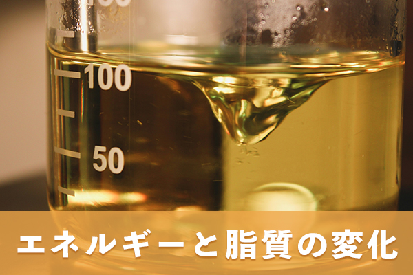 MCTオイルを毎日の食事に足したときに増えるエネルギーと脂質の量